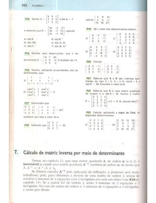 Cap 12   determinantes