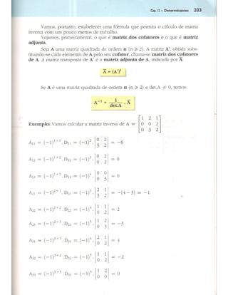Cap 12   determinantes