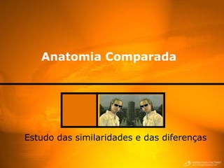 Anatomia Comparada Estudo das similaridades e das diferenças 