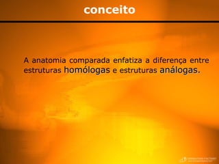 conceito A anatomia comparada enfatiza a diferença entre estruturas  homóloga s  e estruturas  análogas. 