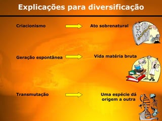 Explicações para diversificação Criacionismo Ato sobrenatural Geração espontânea Vida matéria bruta Transmutação Uma espécie dá origem a outra 