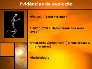Evidências da evolução Fósseis (  paleontologia ) Taxonomia (  classificação dos seres vivos  ) Anatomia Comparada (  similaridades e  diferenças ) Embriologia 