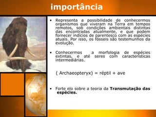 importância  Representa a possibilidade de conhecermos organismos que viveram na Terra em tempos remotos, sob condições ambientais distintas das encontradas atualmente, e que podem fornecer indícios de parentesco com as espécies atuais. Por isso, os fósseis são testemunhos da evolução. Conhecermos  a morfologia de espécies extintas, e até seres com características intermediárias. ( Archaeopteryx) = réptil + ave Forte elo sobre a teoria da  Transmutação das  espécies. 