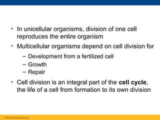 • In unicellular organisms, division of one cell
reproduces the entire organism
• Multicellular organisms depend on cell division for
– Development from a fertilized cell
– Growth
– Repair

• Cell division is an integral part of the cell cycle,
the life of a cell from formation to its own division

© 2011 Pearson Education, Inc.

 