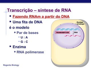 Regents Biology
Transcrição – síntese de RNA
 Fazendo RNAm a partir do DNA
 Uma fita de DNA
é o modelo
 Par de bases
 U : A
 G : C
 Enzima
 RNA polimerase
 