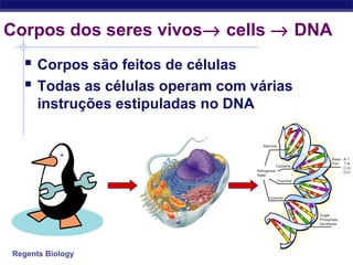 Regents Biology
 Corpos são feitos de células
 Todas as células operam com várias
instruções estipuladas no DNA
Corpos dos seres vivos→ cells → DNA
 
