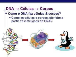 Regents Biology
 Como o DNA faz células & corpos?
 Como as células e corpos são feito a
partir de instruções do DNA?
DNA → Células → Corpos
 