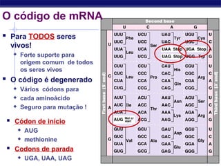 Regents Biology
 Para TODOS seres
vivos!
 Forte suporte para
origem comum de todos
os seres vivos
 O código é degenerado
 Vários códons para
 cada aminoácido
 Seguro para mutação !
 Códon de início
 AUG
 methionine
 Codons de parada
 UGA, UAA, UAG
O código de mRNA
 