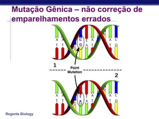 Regents Biology
Mutação Gênica – não correção de
emparelhamentos errados
 