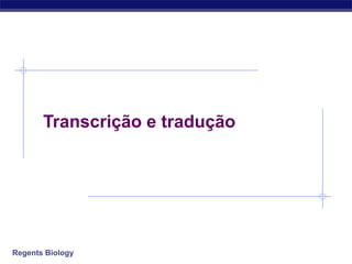 Regents Biology
Transcrição e tradução
 