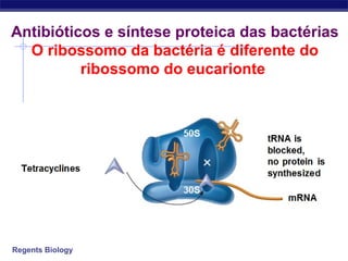 Regents Biology
Antibióticos e síntese proteica das bactérias
O ribossomo da bactéria é diferente do
ribossomo do eucarionte
 