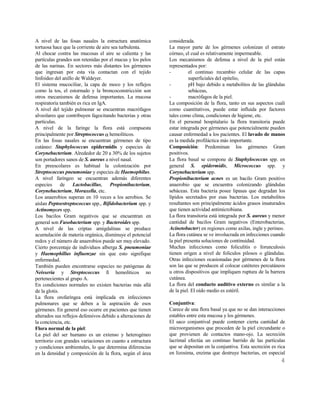 4
A nivel de las fosas nasales la estructura anatómica
tortuosa hace que la corriente de aire sea turbulenta.
Al chocar contra las mucosas el aire se calienta y las
partículas grandes son retenidas por el mucus y los pelos
de las narinas. En sectores más distantes los gérmenes
que ingresan por esta vía contactan con el tejido
linfoideo del anillo de Waldeyer.
El sistema mucociliar, la capa de moco y los reflejos
como la tos, el estornudo y la broncoconstricción son
otros mecanismos de defensa importantes. La mucosa
respiratoria también es rica en IgA.
A nivel del tejido pulmonar se encuentran macrófagos
alveolares que contribuyen fagocitando bacterias y otras
partículas.
A nivel de la faringe la flora está compuesta
principalmente por Streptococcus α hemolíticos.
En las fosas nasales se encuentran gérmenes de tipo
cutáneo: Staphylococcus epidermidis y especies de
Corynebacterium. Alrededor de 20 a 30% de los sujetos
son portadores sanos de S. aureus a nivel nasal.
En preescolares es habitual la colonización por
Streptococcus pneumoniae y especies de Haemophilus.
A nivel faríngeo se encuentran además diferentes
especies de Lactobacillus, Propionibacterium,
Corynebacterium, Moraxella, etc.
Los anaerobios superan en 10 veces a los aerobios. Se
aíslan Peptoestreptococcus spp., Bifidobacterium spp. y
Actinomyces spp.
Los bacilos Gram negativos que se encuentran en
general son Fusobacterium spp. y Bacteroides spp.
A nivel de las criptas amigdalinas se produce
acumulación de materia orgánica, disminuye el potencial
redox y el número de anaerobios puede ser muy elevado.
Cierto porcentaje de individuos alberga S. pneumoniae
y Haemophillus influenzae sin que esto signifique
enfermedad.
También pueden encontrarse especies no patógenas de
Neisseria y Streptococcus ß hemolíticos no
pertenecientes al grupo A.
En condiciones normales no existen bacterias más allá
de la glotis.
La flora orofaríngea está implicada en infecciones
pulmonares que se deben a la aspiración de esos
gérmenes. En general eso ocurre en pacientes que tienen
alterados sus reflejos defensivos debido a alteraciones de
la conciencia, etc.
Flora normal de la piel:
La piel del ser humano es un extenso y heterogéneo
territorio con grandes variaciones en cuanto a estructura
y condiciones ambientales, lo que determina diferencias
en la densidad y composición de la flora, según el área
considerada.
La mayor parte de los gérmenes colonizan el estrato
córneo, el cual es relativamente impermeable.
Los mecanismos de defensa a nivel de la piel están
representados por:
- el continuo recambio celular de las capas
superficiales del epitelio,
- pH bajo debido a metabolitos de las glándulas
sebáceas,
- macrófagos de la piel.
La composición de la flora, tanto en sus aspectos cuali
como cuantitativos, puede estar influida por factores
tales como clima, condiciones de higiene, etc.
En el personal hospitalario la flora transitoria puede
estar integrada por gérmenes que potencialmente pueden
causar enfermedad a los pacientes. El lavado de manos
es la medida profiláctica más importante.
Composición: Predominan los gérmenes Gram
positivos.
La flora basal se compone de Staphylococcus spp. en
general S. epidermidis, Micrococcus spp. y
Corynebacterium spp.
Propionibacterium acnes es un bacilo Gram positivo
anaerobio que se encuentra colonizando glándulas
sebáceas. Esta bacteria posee lipasas que degradan los
lípidos secretados por esas bacterias. Los metabolitos
resultantes son principalmente ácidos grasos insaturados
que tienen actividad antimicrobiana.
La flora transitoria está integrada por S. aureus y menor
cantidad de bacilos Gram negativos (Enterobacterias,
Acinetobacter) en regiones como axilas, ingle y perineo.
La flora cutánea se ve involucrada en infecciones cuando
la piel presenta soluciones de continuidad.
Muchas infecciones como foliculitis o forunculosis
tienen origen a nivel de folículos pilosos o glándulas.
Otras infecciones ocasionadas por gérmenes de la flora
son las que se producen al colocar catéteres percutáneos
u otros dispositivos que impliquen ruptura de la barrera
cutánea.
La flora del conducto auditivo externo es similar a la
de la piel. El oído medio es estéril.
Conjuntiva:
Carece de una flora basal ya que no se dan interacciones
estables entre esta mucosa y los gérmenes.
El saco conjuntival puede contener cierta cantidad de
microorganismos que proceden de la piel circundante o
que provienen de contactos mano-ojo. La secreción
lacrimal efectúa un continuo barrido de las partículas
que se depositan en la conjuntiva. Esta secreción es rica
en lizosima, enzima que destruye bacterias, en especial
 