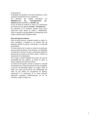 5
Gram positivas.
El parpadeo, las pestañas y las cejas contribuyen a evitar
el ingreso de partículas al saco conjuntival.
Los gérmenes que pueden encontrarse son
Staphylococcus spp., Corynebacterium spp.,
Streptococcus α hemolíticos y Bacillus spp.
El uso de lentes de contacto se asocia a la colonización
por bacterias de los géneros Serratia y Pseudomonas.
Los gérmenes de la conjuntiva pueden causar serias
infecciones como úlceras de córnea y endoftalmitis.
Estas, en general, están precedidas de traumatismos de la
córnea o perforaciones del globo ocular.
Flora del aparato urinario:
Salvo la uretra anterior, el aparato urinario es estéril. La
orina contribuye a mantener la vía urinaria libre de
gérmenes, debido al arrastre, al pH ácido y a su elevada
osmolaridad.
El sector anterior de la uretra se coloniza con gérmenes
que provienen del perineo. Esas bacterias son eliminadas
al comenzar la micción, lo que se utiliza para obtener la
muestra para urocultivo por chorro medio, evitando así
la presencia de contaminantes.
En la mujer, la menor longitud de la uretra, así como la
proximidad del ano explican, al menos en parte, la
mayor incidencia de infección urinaria.
La infección del aparato urinario en general es causada
por gérmenes que colonizan primero la zona circundante
y que por vía ascendente llegan a la vejiga o hasta el
riñón. Las causas que favorecen esta enfermedad, son
todas las que alteran los mecanismos de defensa:
obstrucción a la circulación de la orina (cálculos,
hipertrofia prostática) malformaciones de la vía
excretora, sondas vesicales, etc.
 