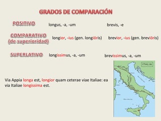 longus, -a, -um brevis, -e
longior, -ius (gen. longiōris) brevior, -ius (gen. breviōris)
longissimus, -a, -um brevissimus, -a, -um
Via Appia longa est, longior quam ceterae viae Italiae: ea
via Italiae longissima est.
 