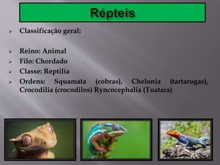  Classificação geral:
 Reino: Animal
 Filo: Chordado
 Classe: Reptilia
 Ordens: Squamata (cobras), Chelonia (tartarugas),
Crocodilia (crocodilos) Ryncocephalia (Tuatara)
 