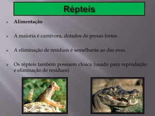  Alimentação
 A maioria é carnívora, dotados de presas fortes
 A eliminação de resíduos é semelhante ao das aves.
 Os répteis também possuem cloaca (usado para reprodução
e eliminação de resíduos)
 