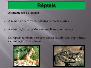 Alimentação e digestão
 A maioria é carnívora, dotados de presas fortes
 A eliminação de resíduos é semelhante ao das aves.
 Os répteis também possuem cloaca (usado para reprodução
e eliminação de resíduos)
 