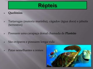  Quelônios
 Tartarugas (maioria marinha), cágados (água doce) e jabutis
(terrestres)
 Possuem uma carapaça dorsal chamada de Plastrão
 São ovíparos e possuem longa vida
 Patas semelhantes a remos
 