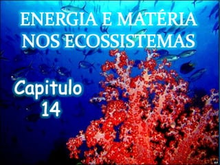 ENERGIA E MATÉRIA NOS ECOSSISTEMAS Capitulo  14 
