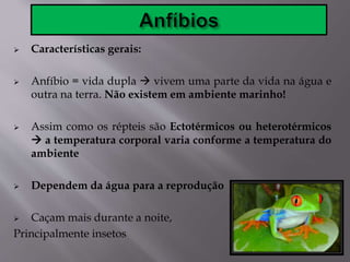  Características gerais:
 Anfíbio = vida dupla  vivem uma parte da vida na água e
outra na terra. Não existem em ambiente marinho!
 Assim como os répteis são Ectotérmicos ou heterotérmicos
 a temperatura corporal varia conforme a temperatura do
ambiente
 Dependem da água para a reprodução
 Caçam mais durante a noite,
Principalmente insetos
 