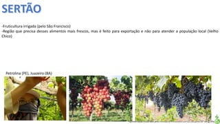 Apresentação elaborada pela Professora FERNANDA LOPES, disciplina de Geografia
-Fruticultura irrigada (pelo São Francisco)
-Região que precisa desses alimentos mais frescos, mas é feito para exportação e não para atender a população local (Velho
Chico)
Petrolina (PE), Juazeiro (BA)
 