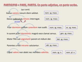 Gallus canens novum diem salūtat.
Davus cubiculum intrans interrogat.
acusat.
Puer dormiens gallum canentem non audit.
In aurem pueri dormientis magnā voce clamat servus.
Mater filiō suō aegrotantī panem et mālum dat.
Parentes a filiō intrante salutantur.
Caput valens non dolet nec membra valentia.
nom. sg. masc.
nom. sg. masc.
nom. sg. masc. ac. sg. masc.
gen. sg. masc.
dat. sg. masc.
abl. sg. masc.
nom. sg. n. nom. pl. n.
(qui canit)
 