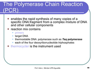 The Polymerase Chain Reaction (PCR) enables the rapid synthesis of many copies of a specific DNA fragment from a complex mixture of DNA and other cellular components  reaction mix contains primers target DNA thermostable DNA  polymerase such as  Taq  polymerase   each of the four deoxyribonucleotide triphosphates thermocycler  is the instrument used Prof. Aida L. Méndez UPR-Aguadilla 