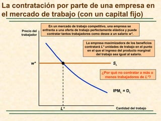 w* SL
En un mercado de trabajo competitivo, una empresa se
enfrenta a una oferta de trabajo perfectamente elástica y puede
contratar tantos trabajadores como desee a un salario w*.
La contratación por parte de una empresa en
el mercado de trabajo (con un capital fijo)
Cantidad del trabajo
Precio del
trabajador
¿Por qué no contratar a más o
menos trabajadores de L*?
IPML = DL
L*
La empresa maximizadora de los beneficios
contratará L* unidades de trabajo en el punto
en el que el ingreso del producto marginal
del trabajo sea igual al salario.
 