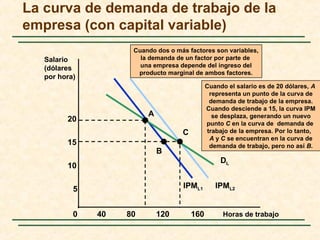 IPML1 IPML2
Cuando dos o más factores son variables,
la demanda de un factor por parte de
una empresa depende del ingreso del
producto marginal de ambos factores.
La curva de demanda de trabajo de la
empresa (con capital variable)
Horas de trabajo
Salario
(dólares
por hora)
0
5
10
15
20
40 80 120 160
Cuando el salario es de 20 dólares, A
representa un punto de la curva de
demanda de trabajo de la empresa.
Cuando desciende a 15, la curva IPM
se desplaza, generando un nuevo
punto C en la curva de demanda de
trabajo de la empresa. Por lo tanto,
A y C se encuentran en la curva de
demanda de trabajo, pero no así B.
DL
A
B
C
 