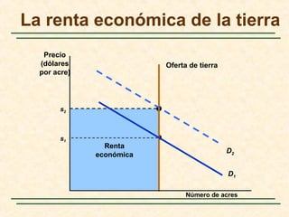 Economic
Rent
s1
Renta
económica
s2
La renta económica de la tierra
Número de acres
Precio
(dólares
por acre)
Oferta de tierra
D2
D1
 