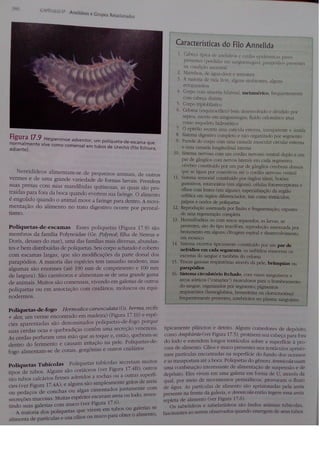 Cap 17. anelídeos (parte 3  hickman 15ªed.)