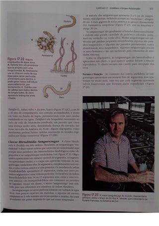 Cap 17. anelídeos (parte 3  hickman 15ªed.)