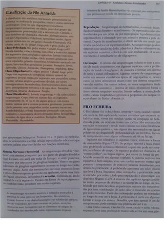 Cap 17. anelídeos (parte 3  hickman 15ªed.)