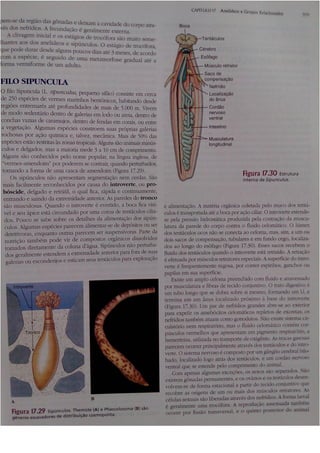 Cap 17. anelídeos (parte 3  hickman 15ªed.)