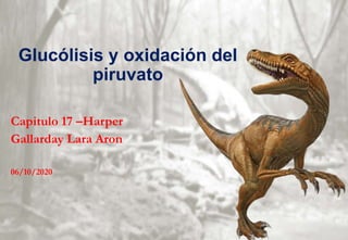 Glucólisis y oxidación del
piruvato
Capitulo 17 –Harper
Gallarday Lara Aron
06/10/2020
 