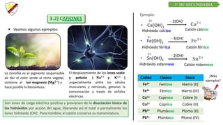 C R E E M O S E N L A E X I G E N C I A
C U R S O D E Q U í M I C A
3.2) CATIONES
 Veamos algunos ejemplos:
Son iones de carga eléctrica positiva y provienen de la disociación iónica de
los hidróxidos por acción del agua, liberando así el total o parcialmente los
iones hidróxido (OH)-. Para nombrar, el catión conserva su nomenclatura.
La clorofila es el pigmento responsable
de dar el color verde al reino vegetal,
contiene al ion magnesio (𝐌𝐠𝟐+) y
hace posible la fotosíntesis.
El desplazamiento de los iones sodio
y potasio (
,especialmente
𝐍𝐚𝟏+ 𝐊𝟏+
entre
y )
las células
musculares y nerviosas, generan la
comunicación a través de señales
eléctricas.
Ejemplo:
2+
Catión cálcico
- 2(OH)-
Hidróxido cálcico
3+
Catión férrico
Hidróxido férrico
- 3(OH)-
Catión estannoso
Hidróxido estannoso
2+
- 2(OH)-
Catión Clásico Stock
Fe2+ Ferroso Hierro (II)
Fe3+ Férrico Hierro (III)
Cu1+ Cuproso Cobre (I)
Cu2+ Cúprico Cobre (II)
Pb2+ Plumboso Plomo (II)
Pb4+ Plúmbico Plomo (IV)
¡Más
ejemplos!
3° DE SECUNDARIA
 