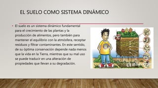 EL SUELO COMO SISTEMA DINÁMICO
• El suelo es un sistema dinámico fundamental
para el crecimiento de las plantas y la
producción de alimentos, pero también para
mantener el equilibrio con la atmósfera, receptar
residuos y filtrar contaminantes. En este sentido,
de su óptima conservación depende nada menos
que la vida en la Tierra, mientras que su mal uso
se puede traducir en una alteración de
propiedades que llevan a su degradación.
 