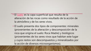 • El suelo es la capa superficial que resulta de la
alteración de las rocas como resultado de la acción de
la atmósfera y de los seres vivos.
• El suelo presenta dos tipos de componentes: minerales
(provenientes de la alteración y descomposición de la
roca que origina el suelo: Roca Madre) y biológicos
(provenientes de los seres vivos que habitan este lugar
y cuyos restos son descompuestos y mineralizados por
la acción de diversos microorganismos).
 
