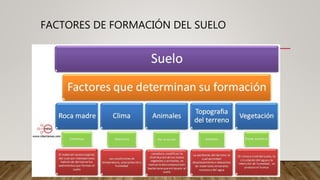 FACTORES DE FORMACIÓN DEL SUELO
 