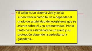 • El suelo es un sistema vivo y de su
supervivencia como tal va a depender el
grado de estabilidad del ecosistema que se
asiente sobre él y su productividad. Por lo
tanto de la estabilidad de un suelo y su
protección depende la agricultura, la
ganadería…
 