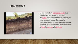 EDAFOLOGIA
• Es una rama de la ciencia del suelo que
estudia la composición y naturaleza
del suelo en su relación con las plantas y el
entorno que le rodea. Dentro de la
edafología aparecen varias ramas teóricas y
aplicadas que se relacionan en especial con
la física,la química y la biología.
 