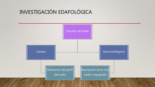 INVESTIGACIÓN EDAFOLÓGICA
Estudios de Suelo
Campo
Obtención del perfil
del suelo
Geomorfológicos
Descripción de la roca
madre, topografía
 