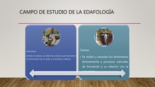 CAMPO DE ESTUDIO DE LA EDAFOLOGÍA
Laboratorio
Donde se analizan, se aíslan los procesos que intervienen
en la formación de un suelo, y se estudia su relación
Campo
• Se miden y estudian los fenómenos
directamente y procesos naturales
de formación y su relación con la
naturaleza
 