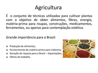Agricultura
É o conjunto de técnicas utilizadas para cultivar plantas
com o objetivo de obter alimentos, fibras, energia,
matéria-prima para roupas, construções, medicamentos,
ferramentas, ou apenas para contemplação estética.
Grande importância para o Brasil:
Produção de alimentos;
Fornecimento de matéria prima para indústria;
Geração de riqueza para o Brasil – Exportações;
Oferta de trabalho.
 