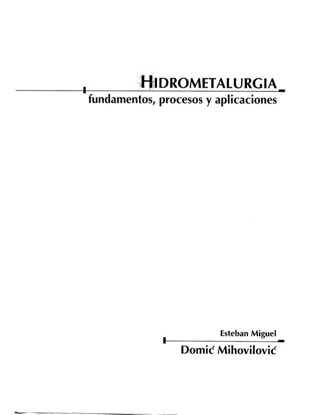hidrometalurgia esteban domic