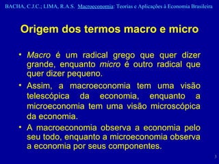 Origem dos termos macro e micro Macro  é um radical grego que quer dizer grande, enquanto  micro  é outro radical que quer dizer pequeno. Assim, a macroeconomia tem uma visão telescópica da economia, enquanto a microeconomia tem uma visão microscópica da economia. A macroeconomia observa a economia pelo seu todo, enquanto a microeconomia observa a economia por seus componentes. 