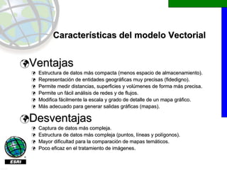 Características del modelo Vectorial


        Ventajas
         Estructura de datos más compacta (menos espacio de almacenamiento).
         Representación de entidades geográficas muy precisas (fidedigno).
         Permite medir distancias, superficies y volúmenes de forma más precisa.
         Permite un fácil análisis de redes y de flujos.
         Modifica fácilmente la escala y grado de detalle de un mapa gráfico.
         Más adecuado para generar salidas gráficas (mapas).

        Desventajas
         Captura de datos más compleja.
         Estructura de datos más compleja (puntos, líneas y polígonos).
         Mayor dificultad para la comparación de mapas temáticos.
         Poco eficaz en el tratamiento de imágenes.


J8338
 