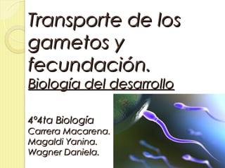 Transporte de los
gametos y
fecundación.
Biología del desarrollo

4º4ta Biología
Carrera Macarena.
Magaldi Yanina.
Wagner Daniela.
 