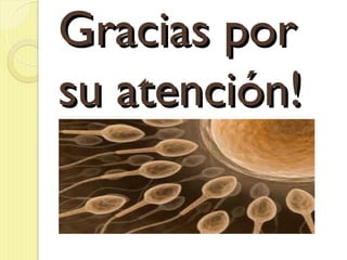 Gracias por
su atención!
 
