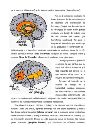 Sistema nervioso - el cerebro